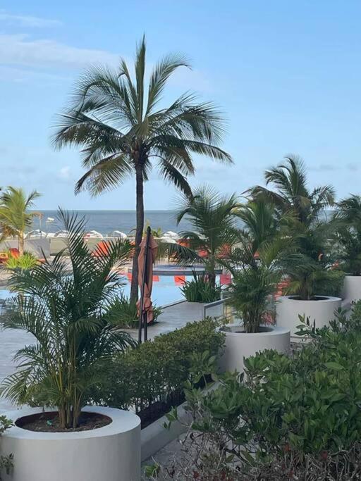 Apartamento Morros 3 Con Salida Al Mar Y Piscina
